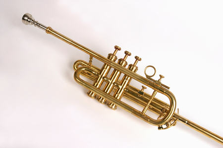 Fanfare trumpet or Ceremonial