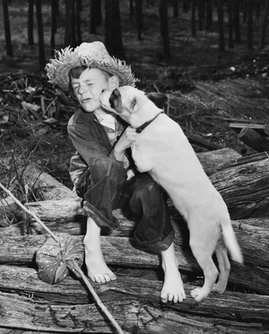 Dog licking a boy