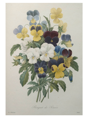 Bouquet of Pansies