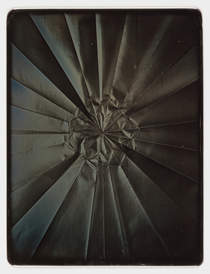 Trout, from the series Unfolded, 2017 (daguerreotype)