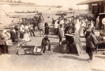 I. WK - Eastern Front - Country and People (photo)