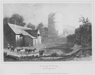Tretwr, Brecknockshire (engraving)