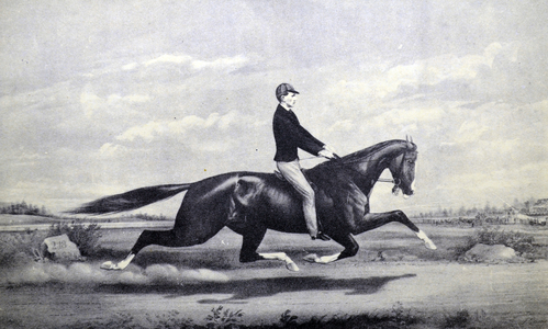 Currier & Ives Illustration 19th Century. Celebrated horse Dexter "The king of the Turf"
