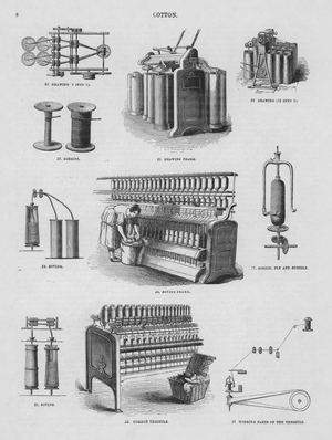 Cotton (engraving)