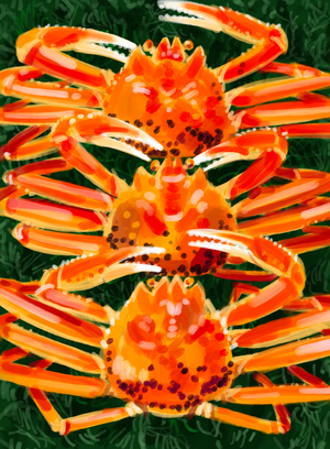 Matsu, 2025 (digital painting)