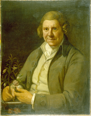 William Aiton, c.1786-87 (oil on canvas)