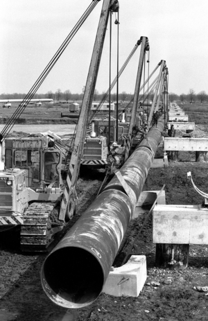 Cranes lift pipes for the construction of a natural gas pipeline by German technicians from VEB Industriemontage..., 1983 (photo)