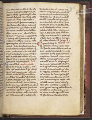 Arundel 377 f.65r 'Codex membranaceus' (ink on vellum)