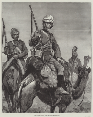 The Camel Corps for the Nile Expedition (engraving)