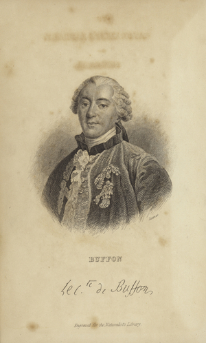 Georges-Louis Leclerc, Comte de Buffon (engraving)