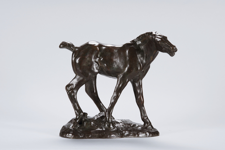 Colt (bronze)