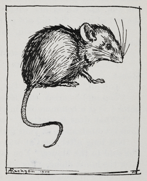 A mouse