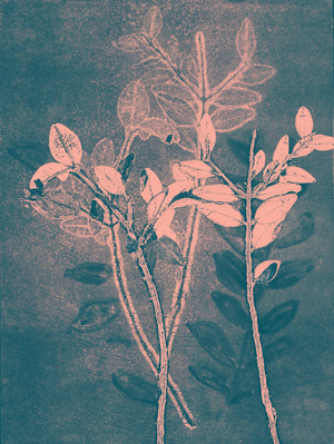 Season VI, 2018 (digital)