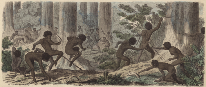 Two tribes of Australian Aborigines fighting (coloured engraving)