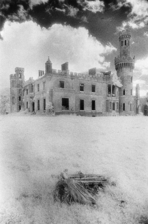 Ducketts Grove, County Carlow, Ireland (b/w photo)