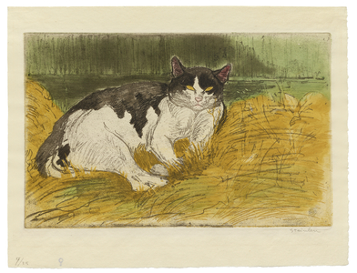 Old Black and White Cat in the Grass, 1902 (soft-ground etching, aquatint & drypoint in colours on cream wove paper)