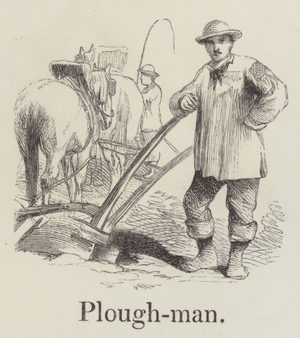 Ploughman (engraving)