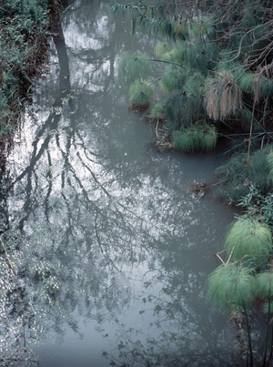 The river Ciane, near Syracuse (photo)