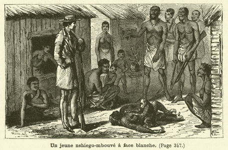 Un jeune nshiego-mbouve a face blanche (engraving)