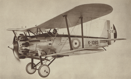 The Bristol Bulldog (b/w photo)