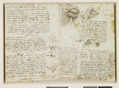 The right ventricle and the valves of the heart (recto); The ventricles, valves and papillary muscles (verso), c. 1511-13 (pen & ink)