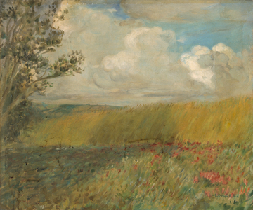 The Cornfield (oil on canvas)