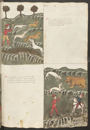 Full page: text and miniatures: " Carne le lepore " - hare and fox hunt: " Carne de orso " - bear hunt (miniature)