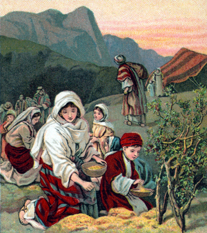 The Jews collect manna, 1910