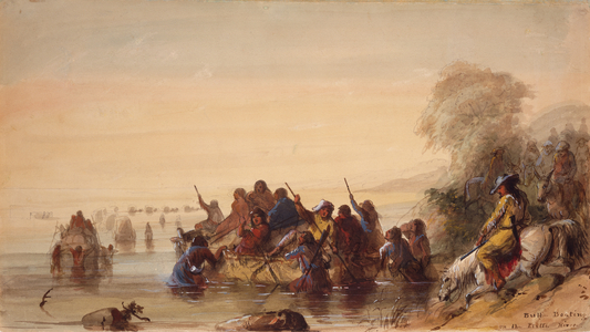 Bull Boating on the Platte River, c.1837 (watercolour on paper)