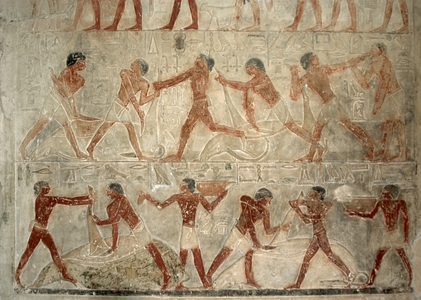 Oxen, Butchering, Polychrome relief, Mastaba of Ptahhotep and Akhethotep, Egypt