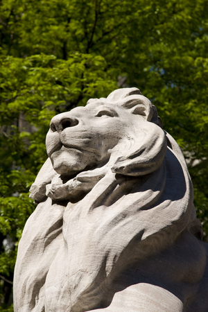 Lion statue outside the New York Public Library (photo)