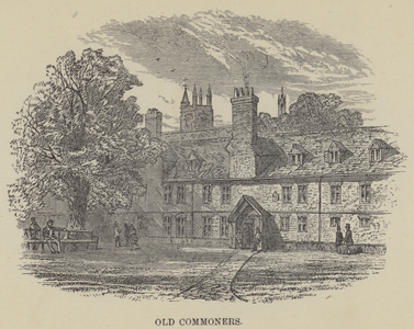 Old Commoners (engraving)