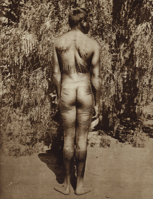 Indigenous Australian body decoration (b/w photo)