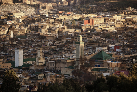 View of Fes el Bali, Morocco (photo)