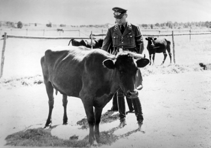 II. WK, Eastern Front, Agriculture, 1942 (photo)