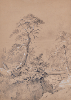 Landscape with wooden bridge, 1810-65 (Pencil)