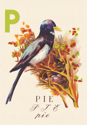 ABC The Magpie Birds, 1945 (illustration)