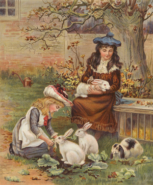 Girls caring for their pet rabbits (chromolitho)