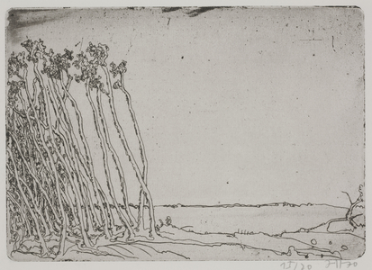 Landschaften, or Landscapes, 1970 (etching)