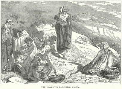 The Israelites gathering Manna (engraving)