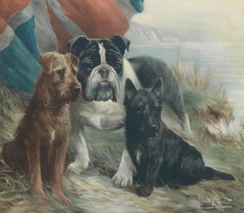 The dogs of Great Britain (lithoraph)