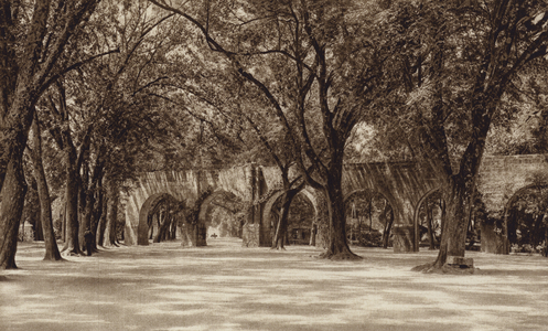 Mexico: Morelia, Antigua tuberia de agua (b/w photo)