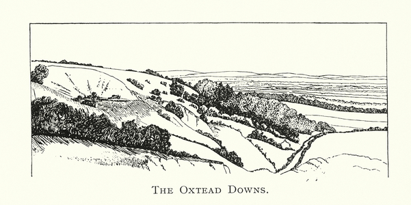 The Oxtead Downs (litho)