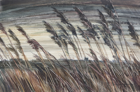 Landscape, 1966 (oil on canvas)