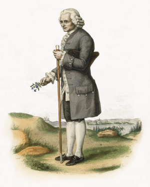 Jean Jacques Rousseau (coloured engraving)