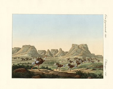Area in South Africa at the forland of Good Hope (coloured engraving)