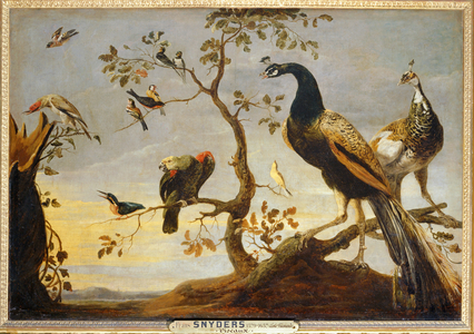 Poseaux sur des branches …