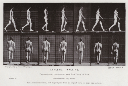 The Human Figure in Motion: Athlete, Walking (b/w photo)