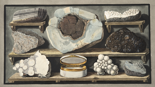 Specimens of curious stones found by the Author on Mount Vesuvius, Plate XXXXVIII, from 'Campi Phlegraei: Observations on the Volcanoes of the Two Sicilies', by Sir William Hamilton (1730-1803), published 1776 (hand coloured engraving)