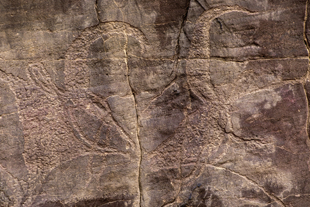 Rock engraving depicting two oxen, Tassili n'Ajjer, Algeria, 2000 (photo)